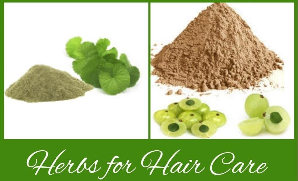 Using Amla, Bhringraj, and Brahmi as Hair Treatments - Henna Cosmetics Cypri®